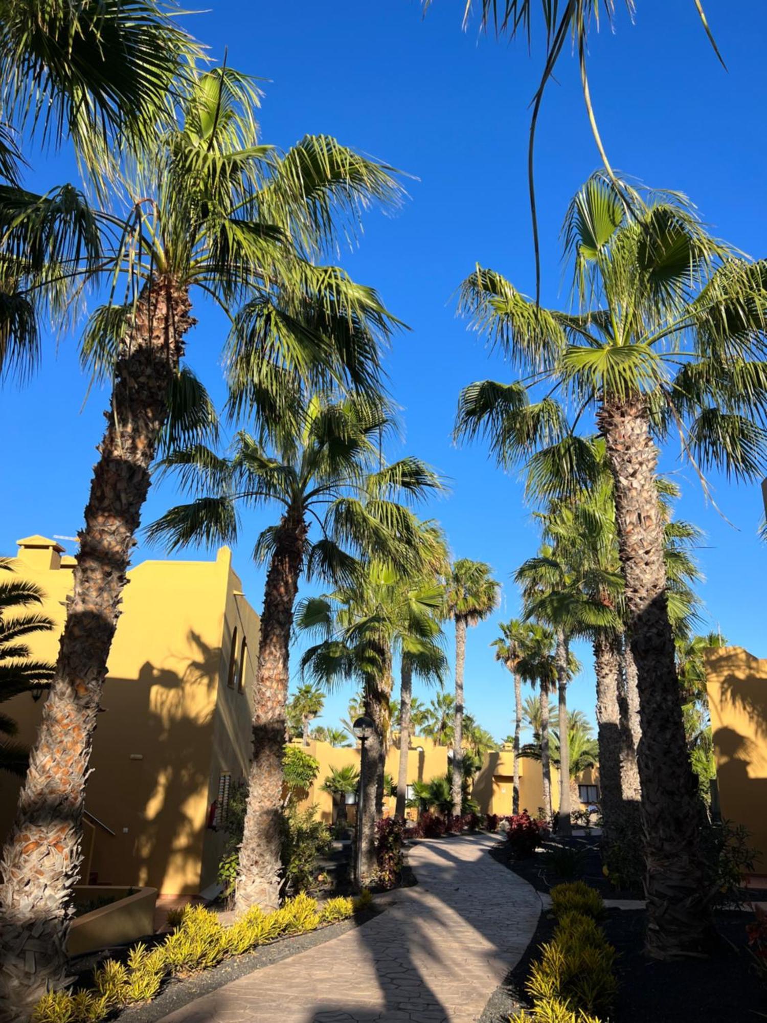 Apartmán Casa De Leon Corralejo Exteriér fotografie