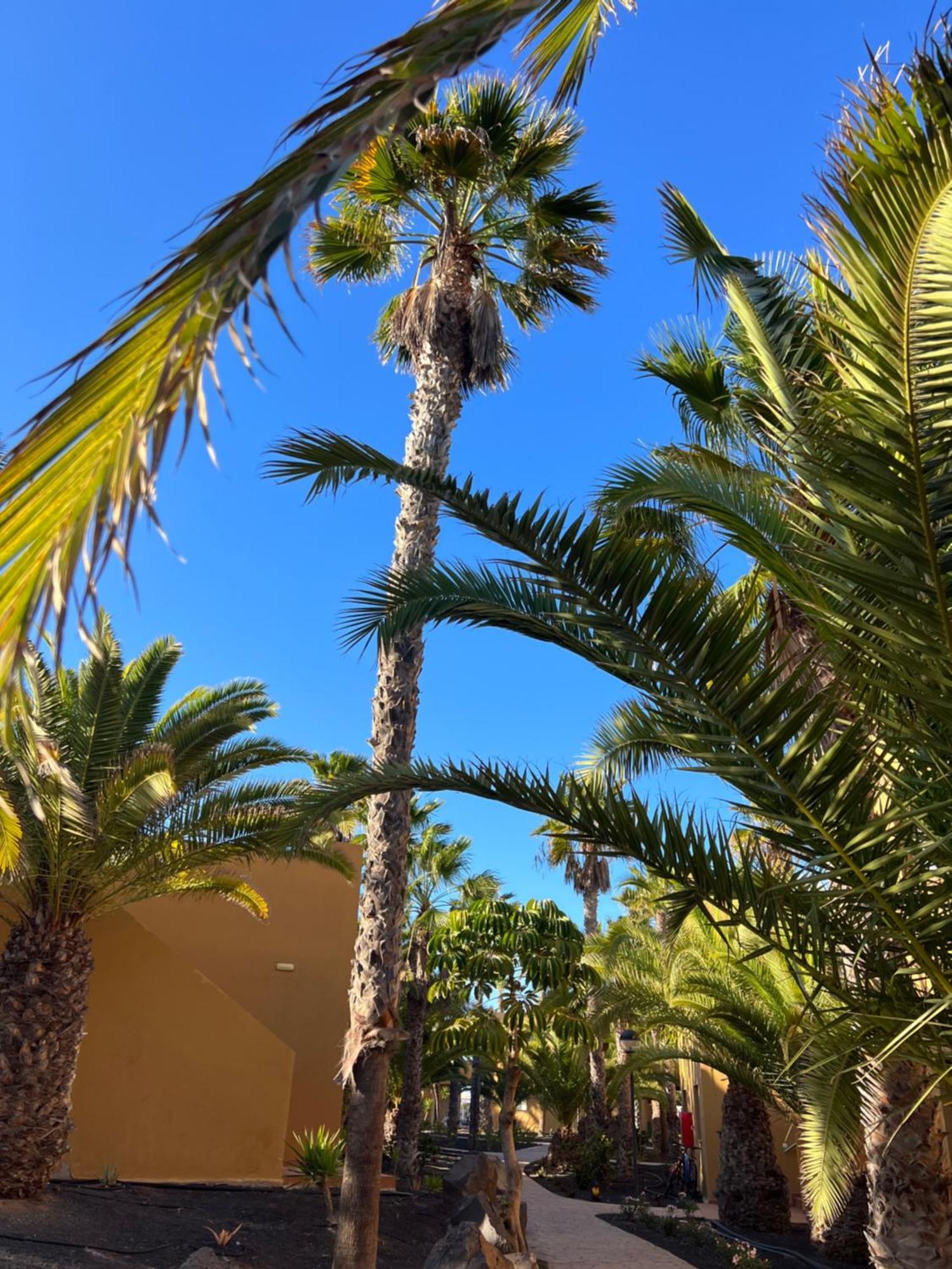 Apartmán Casa De Leon Corralejo Exteriér fotografie