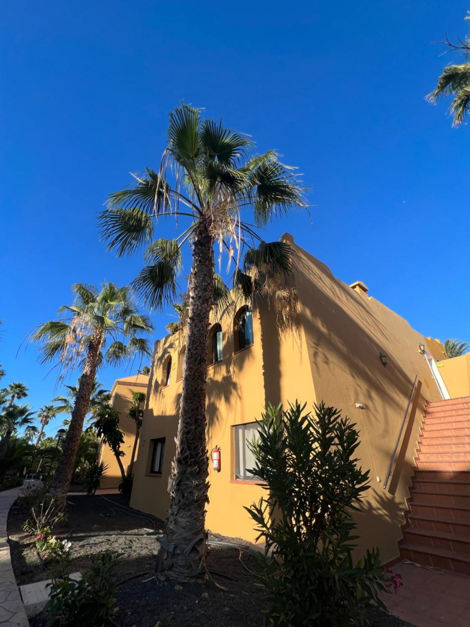 Apartmán Casa De Leon Corralejo Exteriér fotografie